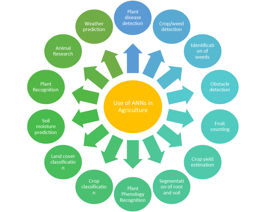 Applications of Deep Neural Networks in Agriculture